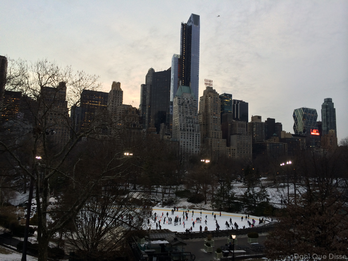Nova York - Central Park | Dani Que Disse