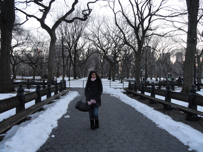 10 lugares para visitar em Nova York na sua primeira viagem | Dani Que Disse